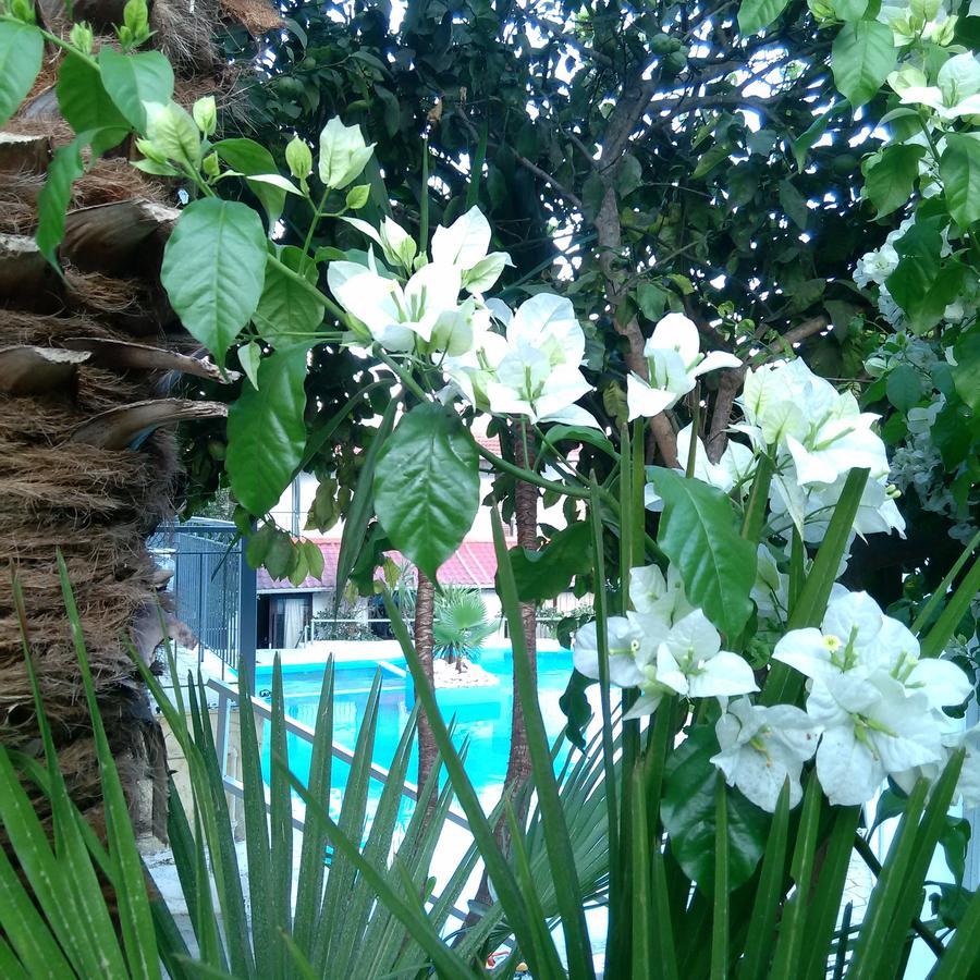 Aragorn Paradise Garden Moraitika Exterior foto
